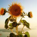 jordan_berg - @jordan_berg - Twitter