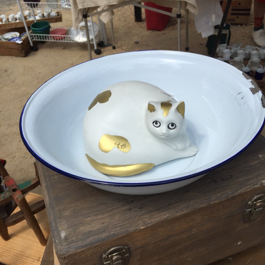 ひかげんさんのプロフィール画像