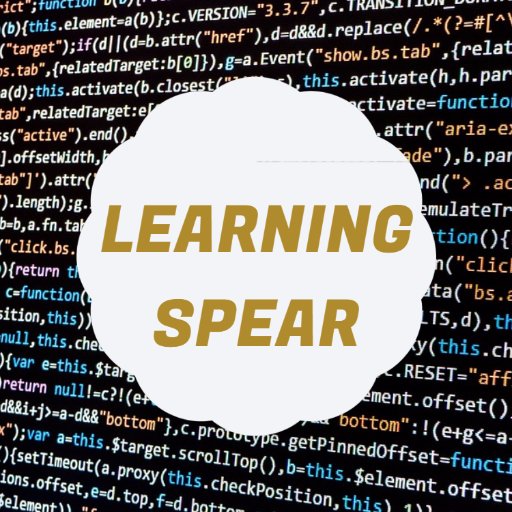 LearningSpear's profile picture. Training Institute