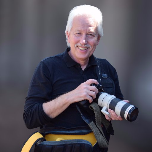 ericwatsonart's profile picture. 