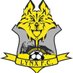 Lynx FC eSports (@lynxfcesports) Twitter profile photo Lynx FC eSports (@lynxfcesports) Twitter profile photo
