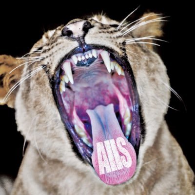 alls_en's profile picture. English fan account for AllS! @official_alls (I will try to do live reports too!!)