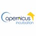 Copernicus Incubation 🇪🇺🛰️ (@CopernicusIncub) Twitter profile photo