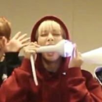 SVT_myhearteu's profile picture. caratdeul acc for @pledis_17 💎 Been to SVT 1st world tour 0909 M'sia💓 currently missing them so much😭 also a 24/7 army💜