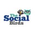The Social Birds (@thesocialbirdss) Twitter profile photo The Social Birds (@thesocialbirdss) Twitter profile photo