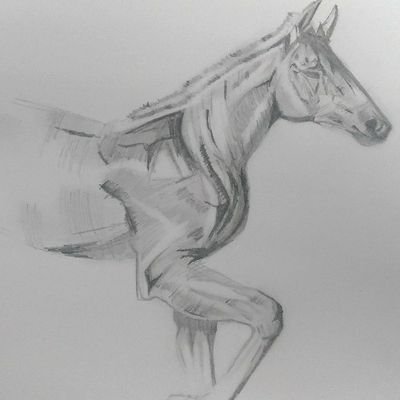 leo11192's profile picture. Design my life