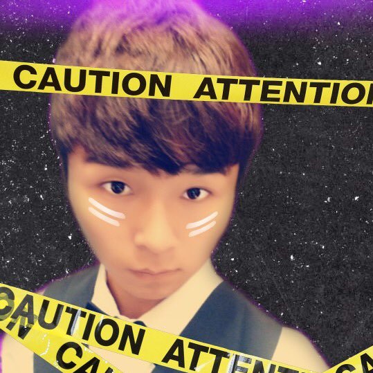 FireOfYouth_fox's profile picture. 