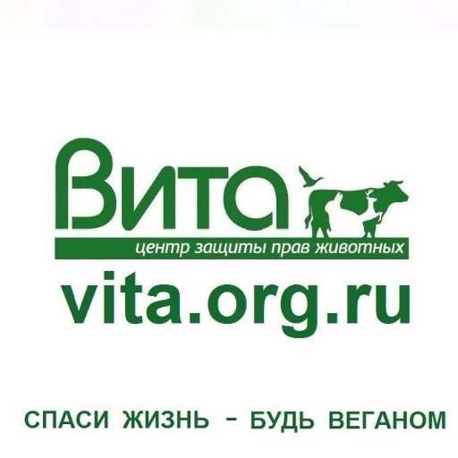 НП Центр защиты прав животных «ВИТА» -   российская общественная некоммерческая организация https://t.co/8G177gnt1B