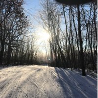 Prior Lake High School Nordic Ski Team (@plxcski) 's Twitter Profile Photo Prior Lake High School Nordic Ski Team (@plxcski) 's Twitter Profile Photo