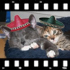 hilde_temp's profile picture. Tweet because i hope there will be someone tweeting for me when i need it...