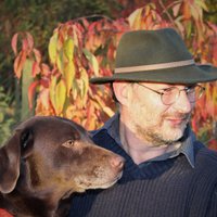 Dr Ross Cameron (@rosswfcameron) 's Twitter Profile