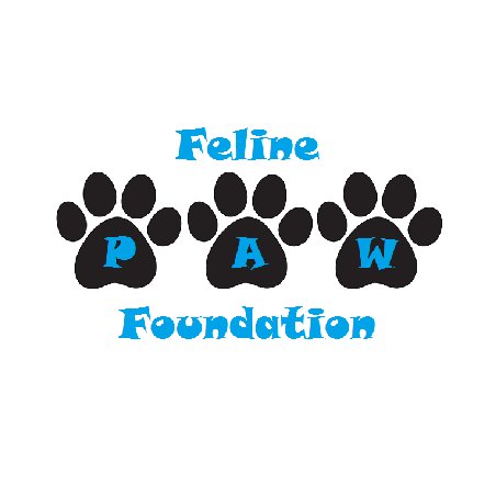 We are a 501(c)(3) nonprofit organization that raises money and awareness of feline related issues. #cats #kittens #TICA #catshow #Texas #cat #feline