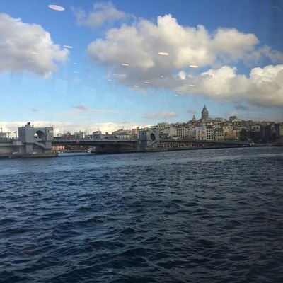 alyylmzc's profile picture. 