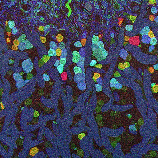 BWJonesLab's profile picture. In the data. PI: @bwjones