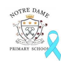 Notre Dame Primary(@NotreDamePri) 's Twitter Profileg