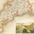 UoEHeritage's profile image