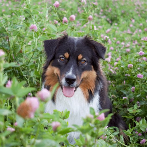 adamzelycz's profile picture. 