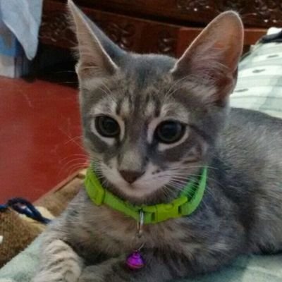 Yenusca's profile picture. Empatia y altruismo para sobrevivir.