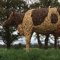 Ed Barnston (@edbarnston) 's Twitter Profile