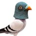 Pomba (@a_pomba) Twitter profile photo Pomba (@a_pomba) Twitter profile photo