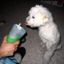 Bev Martin - @dustbunny39 - Twitter