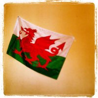 Ulrike Vogel (@flyingbirdwales) 's Twitter Profile Photo Ulrike Vogel (@flyingbirdwales) 's Twitter Profile Photo