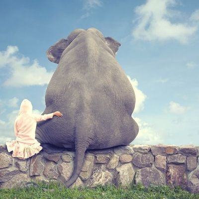 Chaeeun79's profile picture. 오늘은 내생애 최고의 날입니다!!