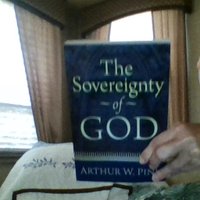 paula whitehead (@paulawh195863) 's Twitter Profile