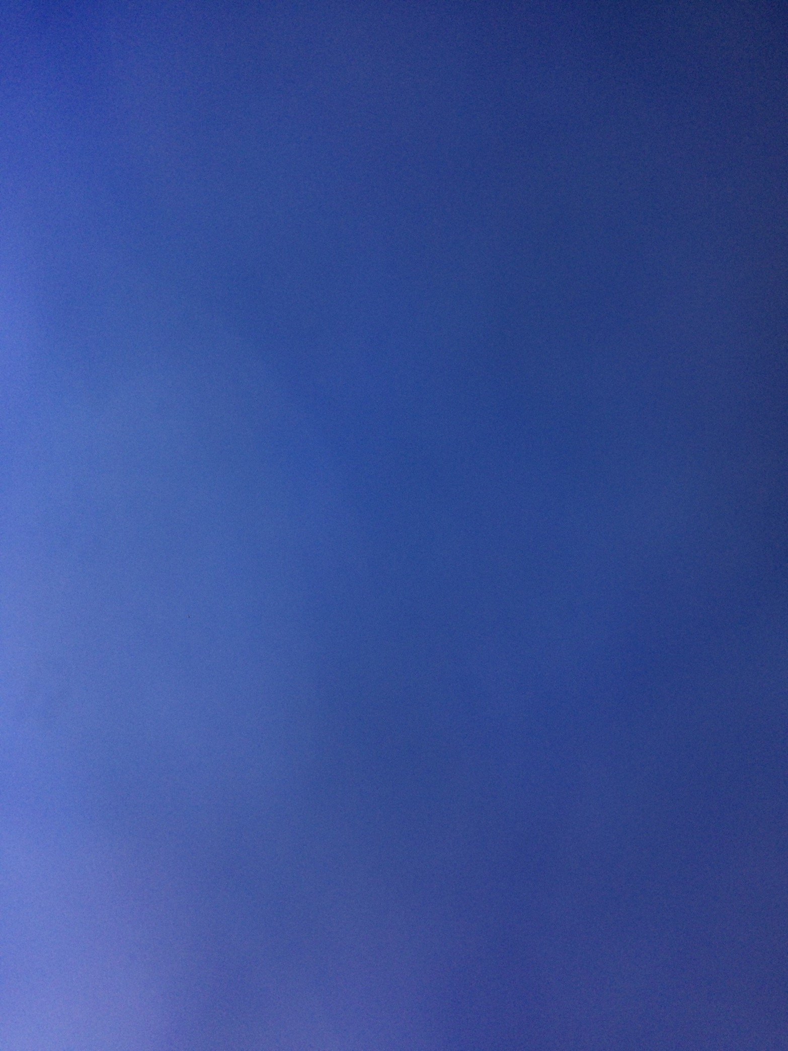 Bord1234bord's profile picture. 