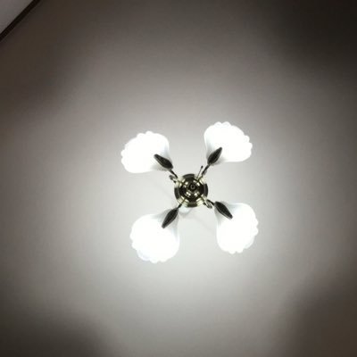 BdvbFkWvjRU4JSO's profile picture. しょーるーむ