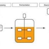 🇵🇸🇵🇸🇵🇸 | Bioprocessing | BioPharma industry | Cell & Gene therapies | biomanufacturing | 🇪🇺 🇳🇱 🇧🇪 🇩🇪