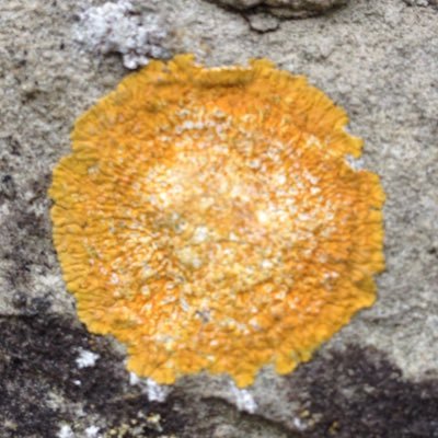 Voice, sound, video & drawing. Exploring patterns & glitches in technologies & environments. Senior Lecturer in Fine Art @uniofbrighton. Views my own.