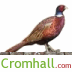 cromhall's profile picture. http://t.co/FTTUXfYvb8's guide to events in and around the village.