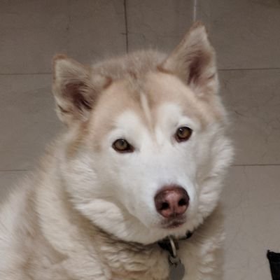 lawrence__ma's profile picture. 