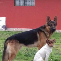 LACC (@luis_a_cc_2005) 's Twitter Profile