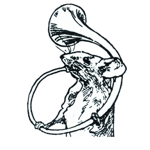 Mäuschen モイスェンさんのプロフィール画像