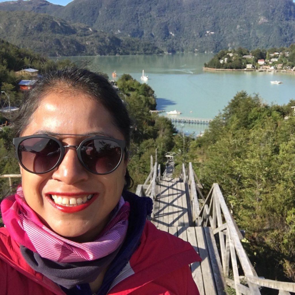 ElviaTapia's profile picture. @InfoseguraPNUD team | Trabajando por un 🌎 mejor desde 🇺🇳. Tuits a título personal.