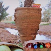 Salem Alqahtani (@almoqlah006) 's Twitter Profile Photo