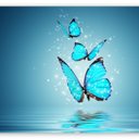 ada jang - @adajang99 - Twitter