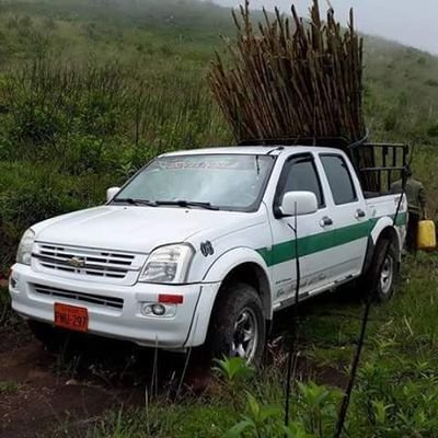 cristian_cando's profile picture. Foto