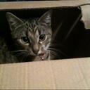 Jo Geelmuyden - @JoLockwood - Twitter