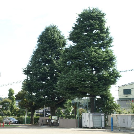 平成30・31年度　小学校動物飼育推進校
令和元・  2年度　持続可能な社会づくりに向けた研究推進校