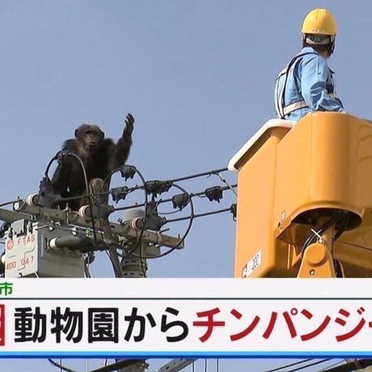 あさんのプロフィール画像