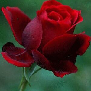 YE6R1cbaTxr1Iwx's profile picture. كوميديا عربية كرة قدم أوروبية و عالمية كوميديا سعودية كرة عربية كوميديا عربية كوميديا سعودية كرة قدم أوروبية و عالمية كرة عربية كرة القدم السعودية