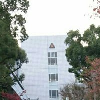 久留米大学附設高校クイズ研究部 (@fusetsu_quiz) 's Twitter Profile