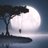 ghadery_a's profile image
