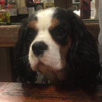 Pierre Grauby (@pierregrauby) 's Twitter Profile