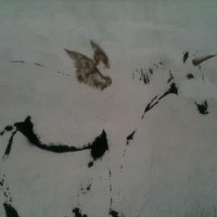Ellie (@e_ricovecchia) 's Twitter Profile Photo