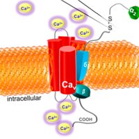 The Rajadhyaksha Lab (@rajadhyakshalab) 's Twitter Profile Photo The Rajadhyaksha Lab (@rajadhyakshalab) 's Twitter Profile Photo
