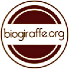 Biogiraffe is made by teachers for teachers. We provide biographical resources for teachers use in grades K-6 for FREE!